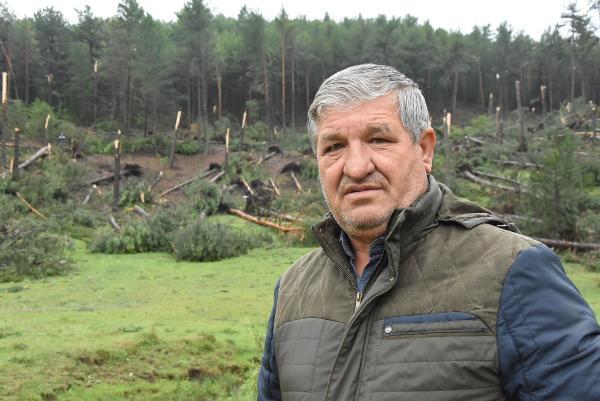 Lütfiye Köyü’nü fırtına vurdu! Yüzlerce ağaç devrildi