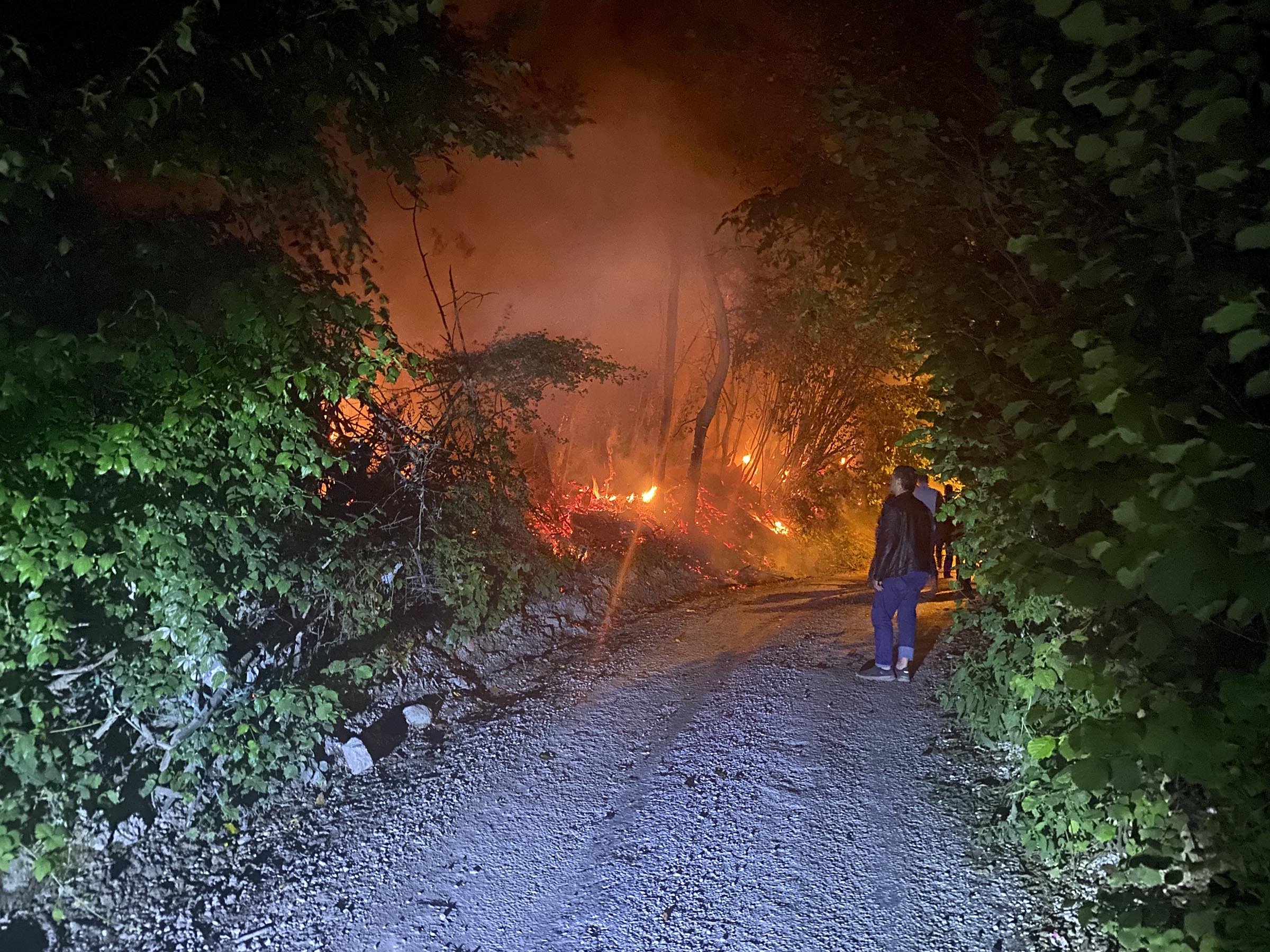 Orman yangını polislerin çabasıyla söndürüldü
