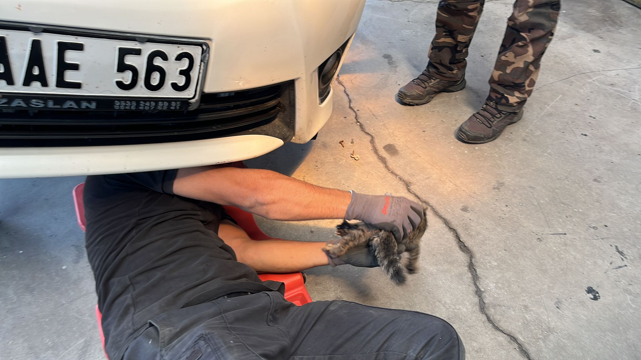 Polis aracının motoruna giren kedi kurtarıldı