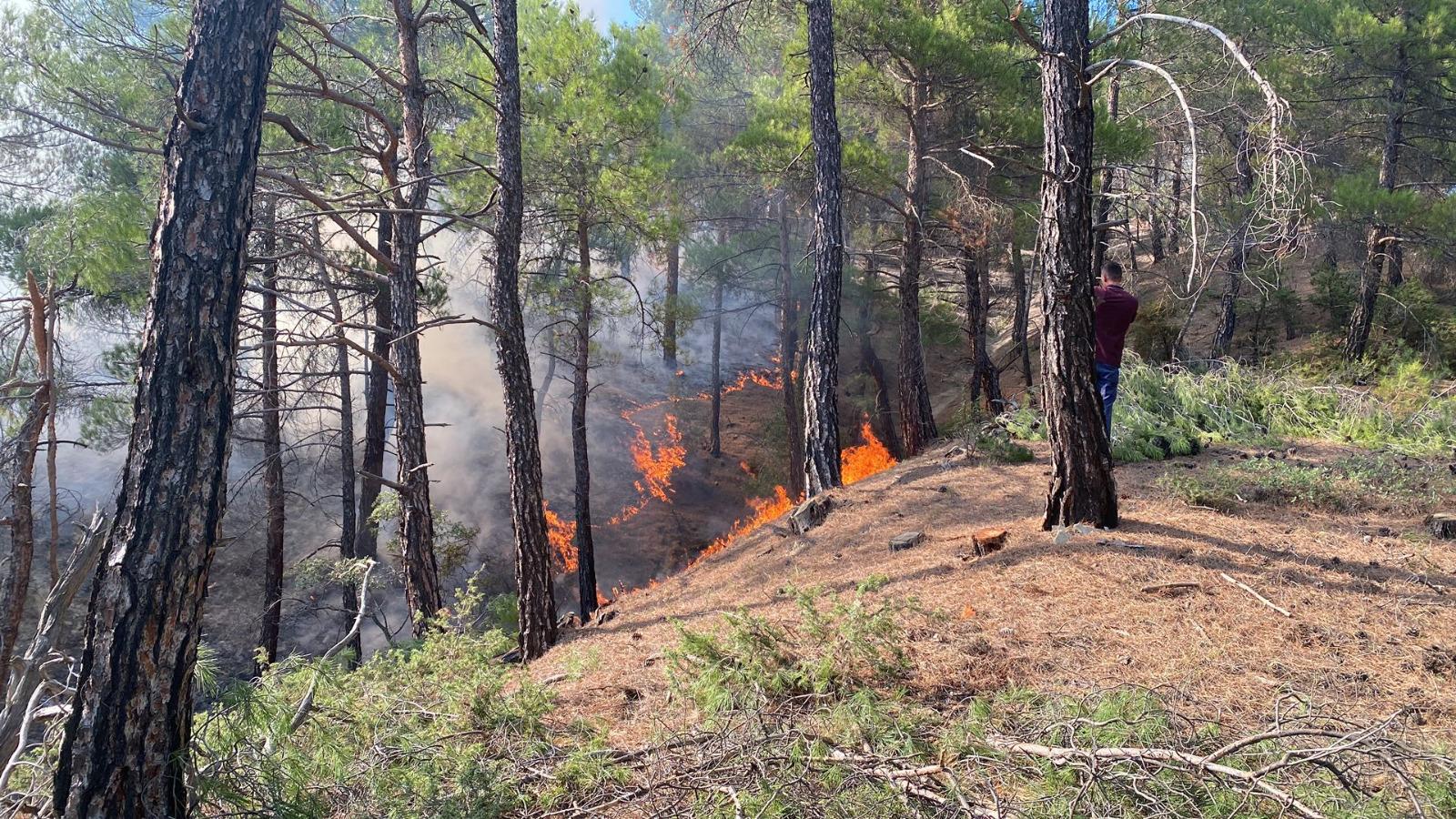 Gediz’de orman yangını! 0,4 hektar alan zarar gördü