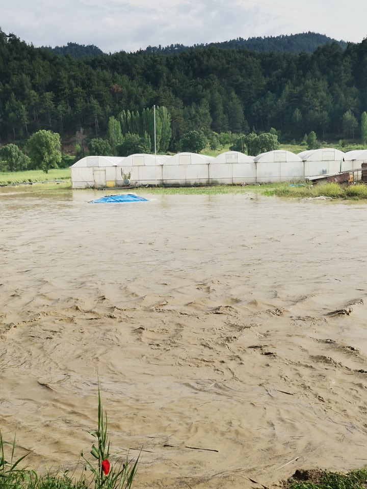 Sağanak yağış Ilıcasu köyünde sel felaketine yol açtı