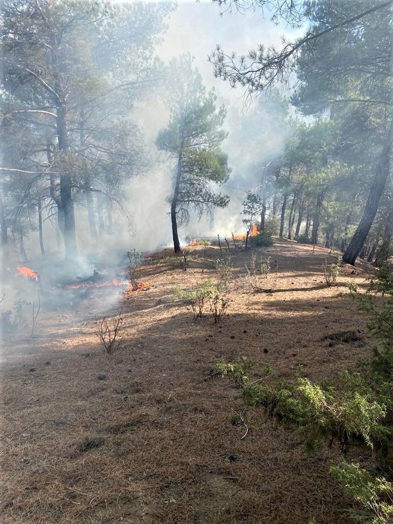 Orman yangınlarının yüzde 90’ı insan kaynaklı