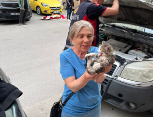 Aracın motor kısmına giren yavru kediyi itfaiye kurtardı