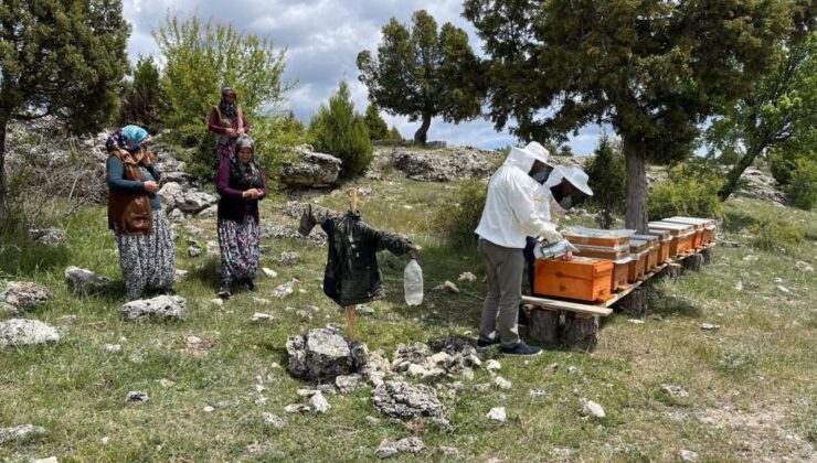 Üreticilere ücretsiz 105 arı kovanı dağıtıldı