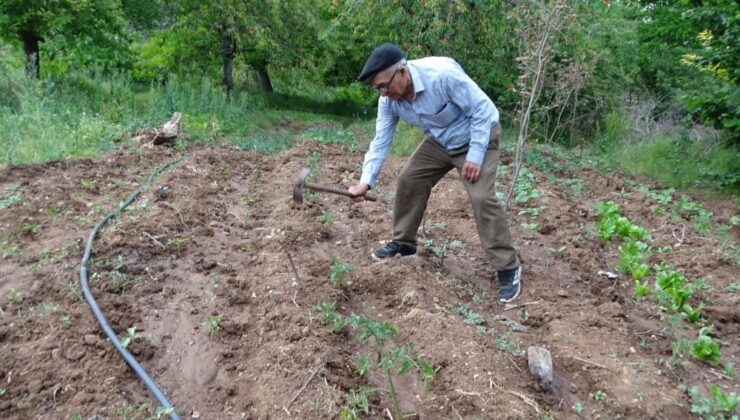 40 yıllık emekle dağları bağa çevirdi