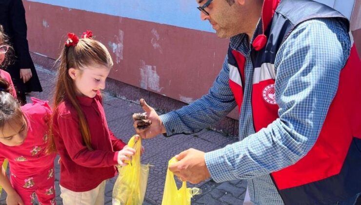 Öğrencilere sebze fidesi dağıtıldı