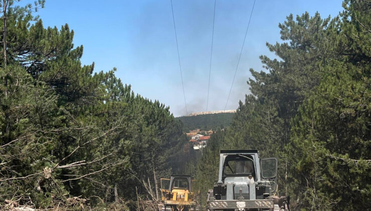 Enerji nakil hatları altında yangın önleme temizliği