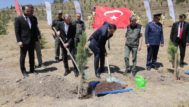 15 Temmuz şehitleri anısına fidan dikildi