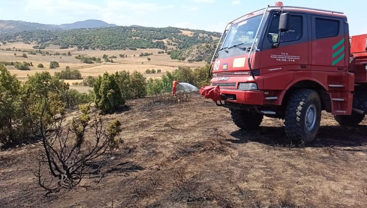 30 dönümlük tarım ve orman arazisi yangında zarar gördü