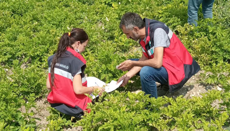 Tarımda kontroller aralıksız sürüyor