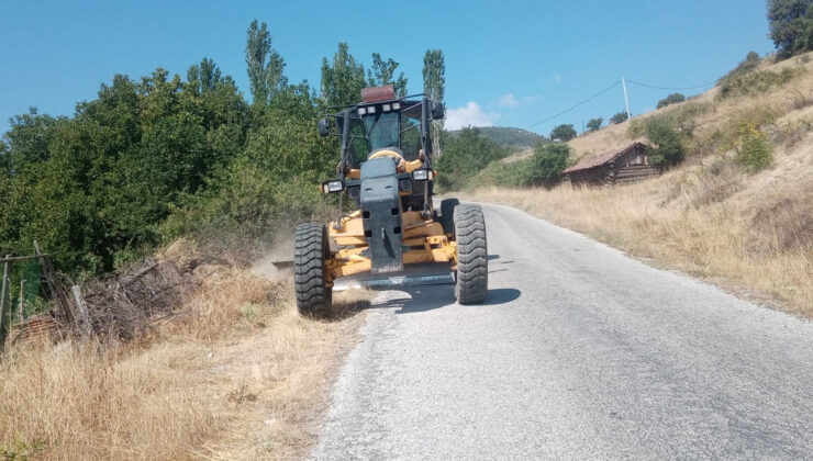 Orman yangınlarına karşı yol kenarları temizleniyor