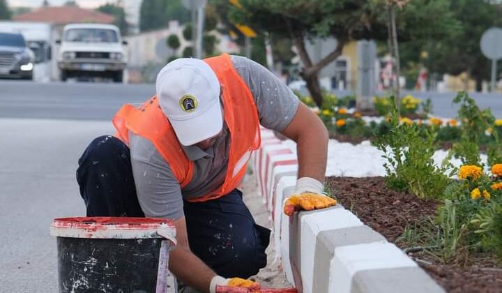 Tavşanlı’da refüjler çiçek açtı