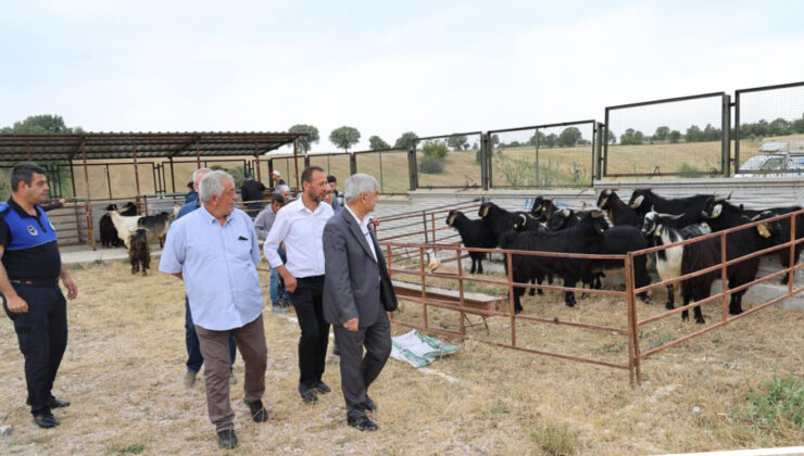 Gediz Hayvan Pazarı’nda hastalık alarmı