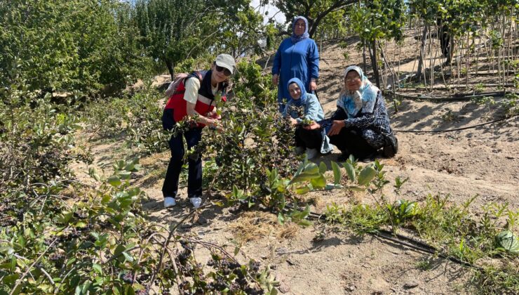 Kadınlar iyi tarımda Kütahya’yı öne çıkaracak