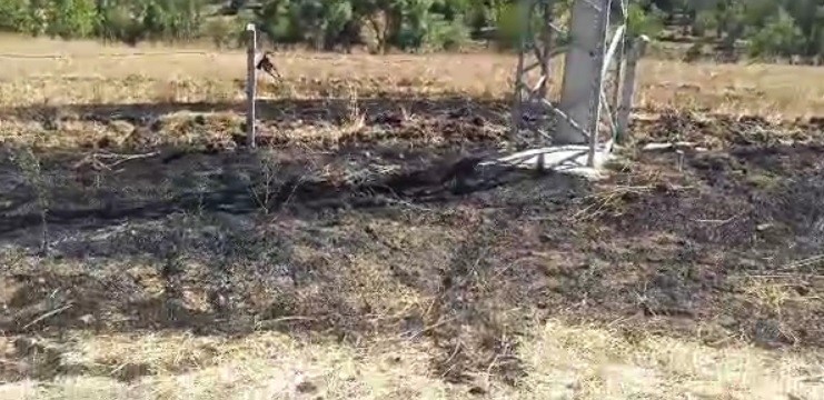 Elektrik kablolarına temas eden kuş yangına sebep oldu