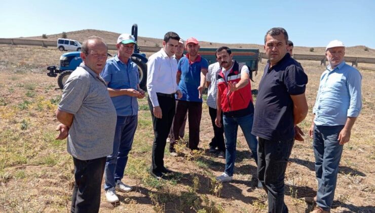 Kaymakam Gedik, hasat kontrollerine katıldı