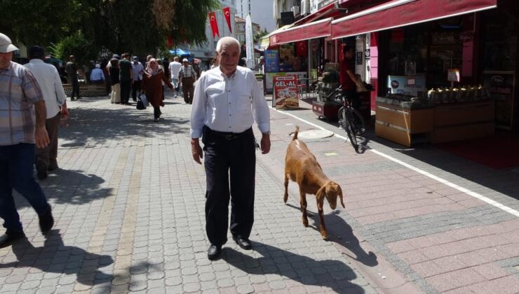 Can dostunu yanından hiç ayırmıyor