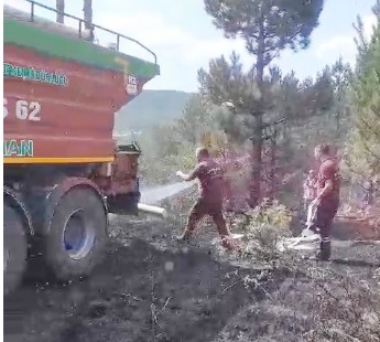 Tavşanlı’da orman yangını