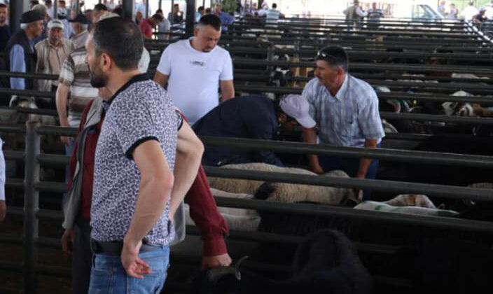 Gediz’de hayvan pazarı kısmen açıldı