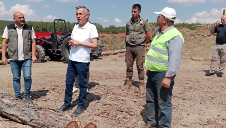 Müdür Erdal Dingil, orman yangınlarına karşı duyarlı olmaya çağırdı