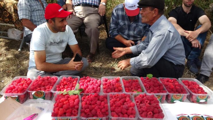 Ahududu Şenliği renkli görüntülere sahne oldu