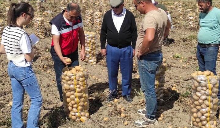 Patates ekiliş ve hasat kontrolleri yapıldı