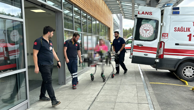 Sokak köpeklerinden kaçarken motosikletten düşen sürücü yaralandı