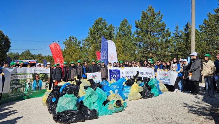 Gençler ormanlar için el ele verdi