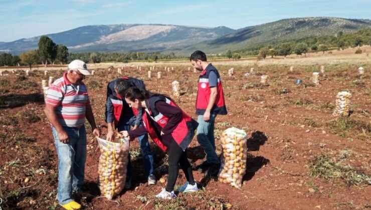 Domaniç’te patates hasat kontrolü