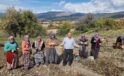 Çiftçiler hububatı bıraktı patatese yöneldi