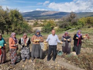 Çiftçiler hububatı bıraktı patatese yöneldi