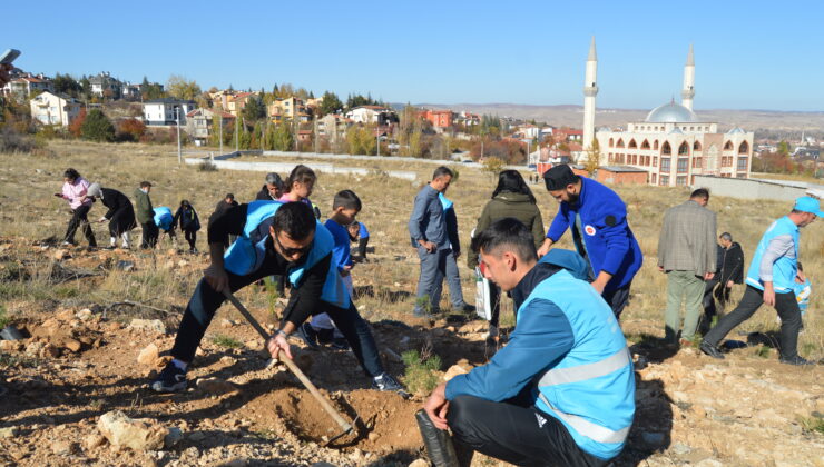 Bisikletleriyle fidan dikmeye gittiler