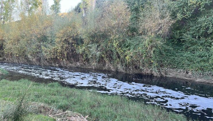 Gediz Nehri’nde kirlilik alarmı