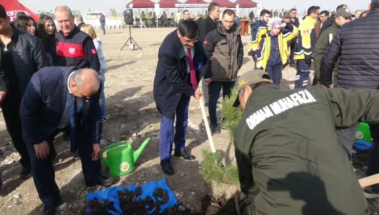5 yılda 110 milyon 757 bin 317 fidan dikildi