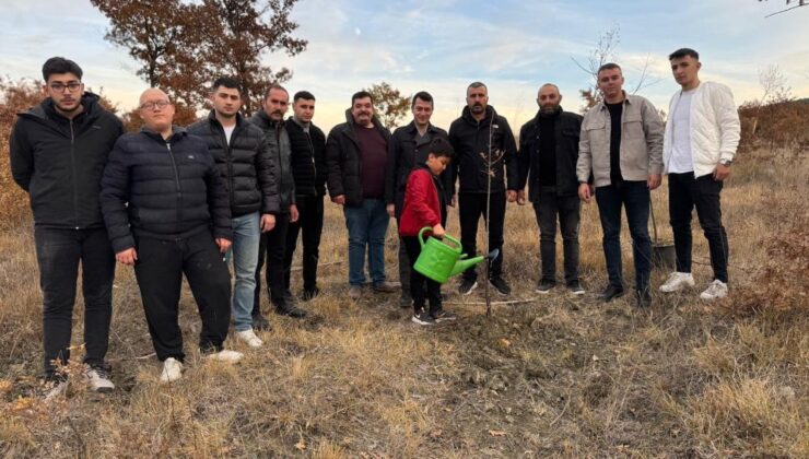 Ülkü Ocakları’ndan fidan dikim etkinliği