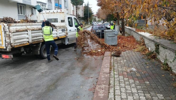 Belediye ekiplerinden sonbahar temizliği