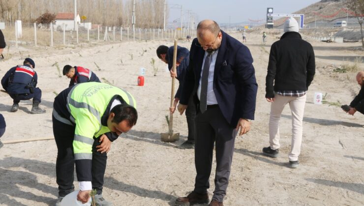 Kütahya OSB’de yüzlerce fidan toprakla buluştu