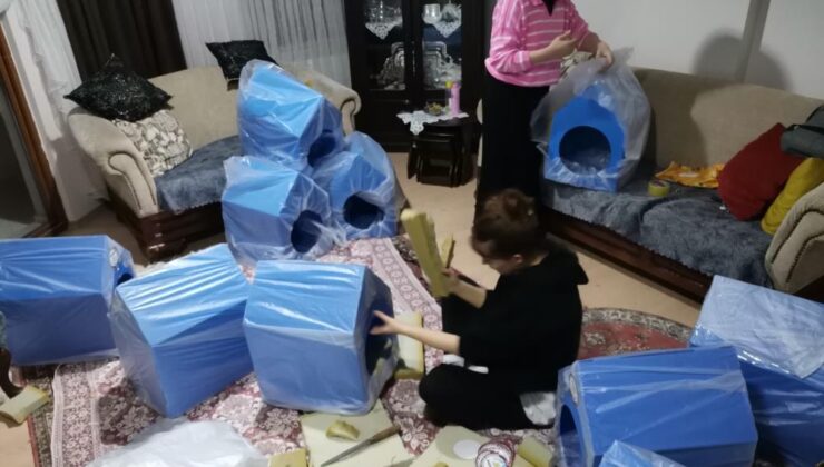 Can dostları için sıcak yuva hazırladılar