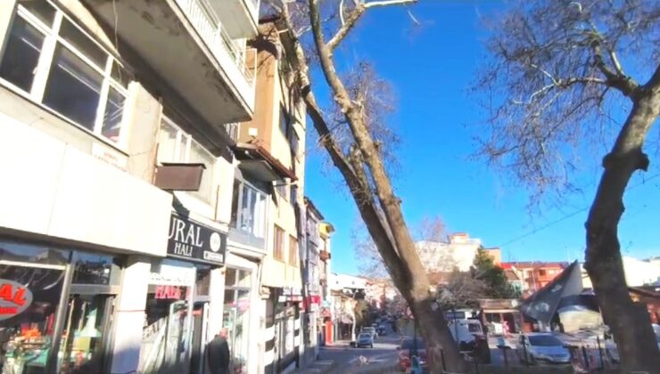 Asırlık çınar binanın üzerine devrildi