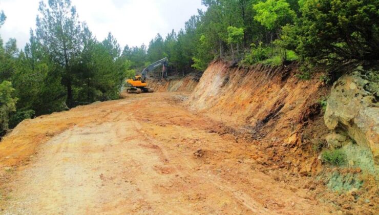 Ormanlar için 110 milyonluk yatırım planlanıyor