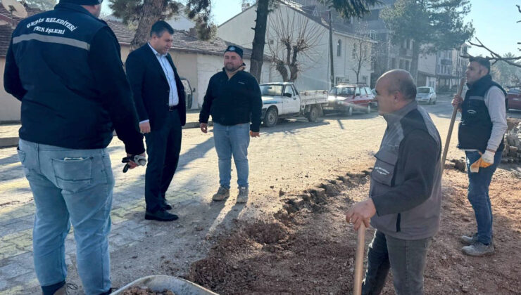 Başkan Akel’den saha incelemesi