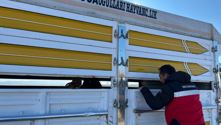 Kaçak ve belgesiz hayvan hareketleri kontrolü
