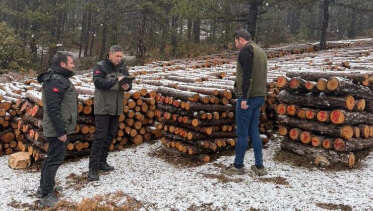 Orman ürünlerinin sayımı yapıldı