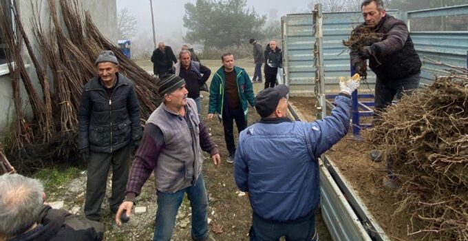 29 çiftçiye 2 bin 784 hünnap ve cennet hurması fidanı dağıtıldı