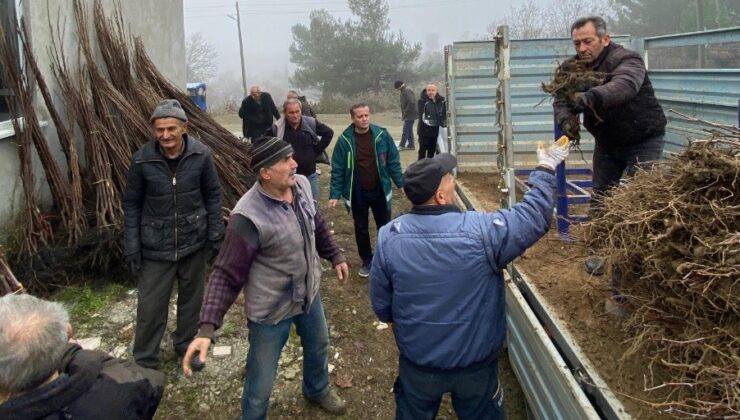 29 çiftçiye 2 bin 784 hünnap ve cennet hurması fidanı dağıtıldı