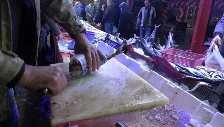 Balık pazarında hareketlilik başladı