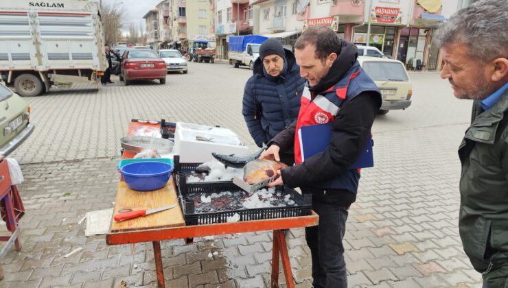 Çavdarhisar’da balık satış yerlerine denetim