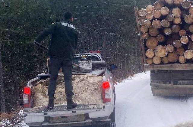 Karda mahsur kalan kamyonlara anında destek