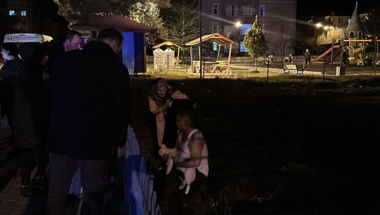 Yanan daireye girip kedilerini kurtardılar
