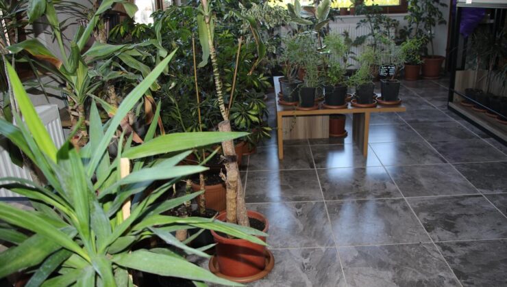 Tavşanlı Belediyesi’nden ‘Bahçe Market’ hizmeti